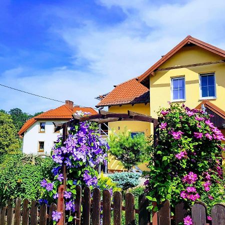 Jaskolka - Pokoje I Apartament Przy Plazy Olsztyn  Eksteriør billede